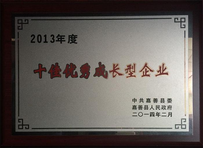 2013年(nián)十佳優(yōu)秀成長型(xíng)企業