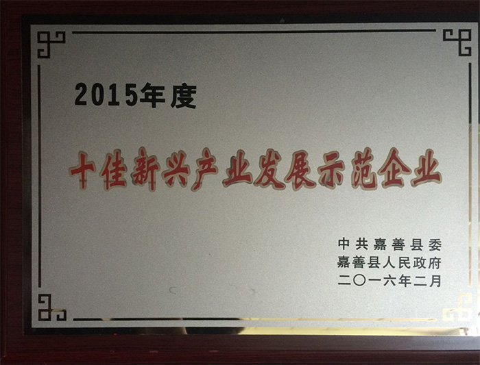 2015年度十佳新興産(chǎn)業發展示範企業